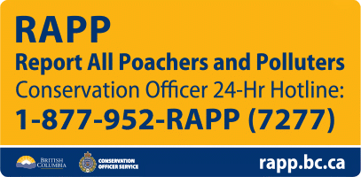 Report All Poachers and Polluters (RAPP) logo
