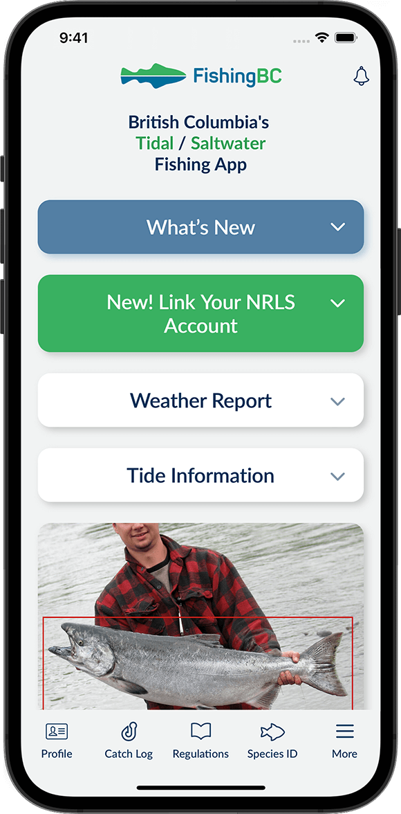 Screenshot of the FishingBC App's home screen
