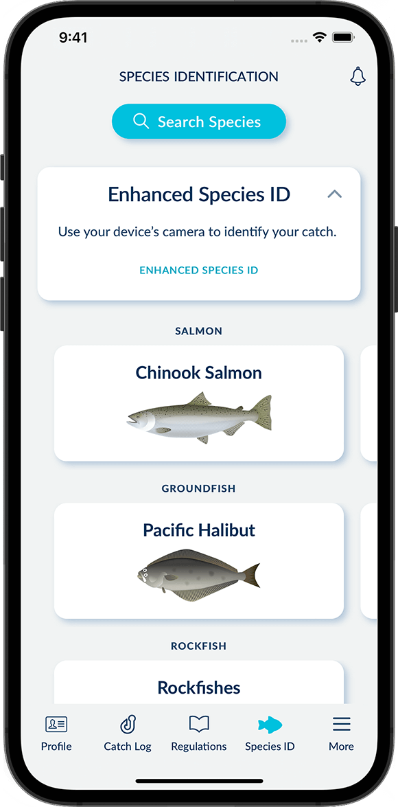 Screenshot of the FishingBC App showing the Species Identification feature